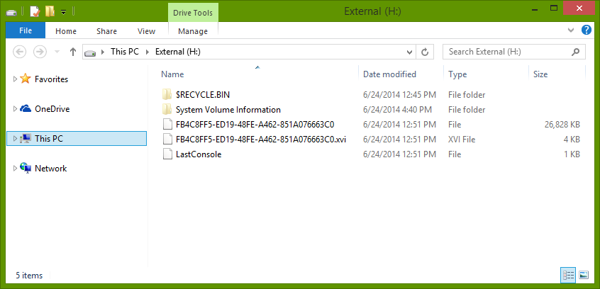 Recognized disk in File Explorer